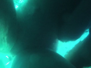 Underwater Camera Fun...