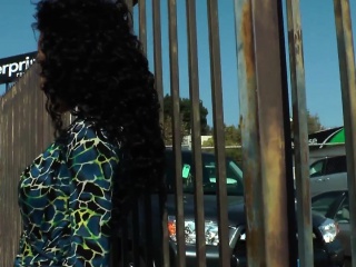 Bigtitted black tgirl tugging pierced dick