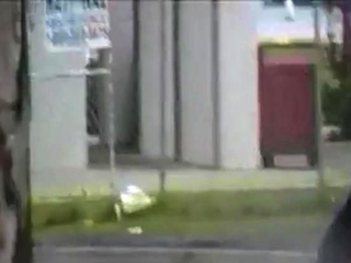 Bear public cumshot in car