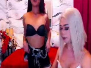 Hot Booty Shemales Sexy Thick Ass