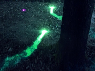 MOVIEPORN – Maleficunt