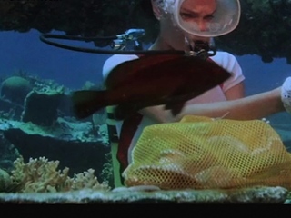 Mr Skins Favorite Nude Scenes 1977