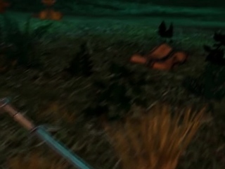 ciri ntr travel ROAD HOME