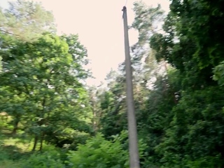 DADDY4K. Hungry for Mushrooms