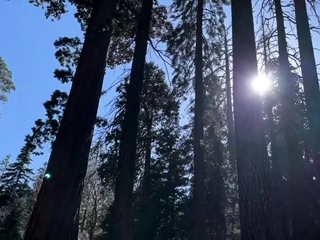 Hot Blonde Big Sexy Tits Real Sex Naked In Forest