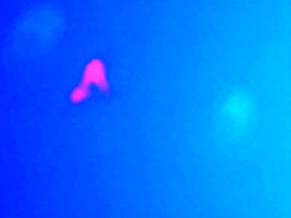 SOUTHERNSTROKES Aiden Ward Rides Timber Harvest In Gay 3some