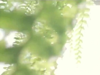 Exhibitionist Twinks Webcam Handjobs