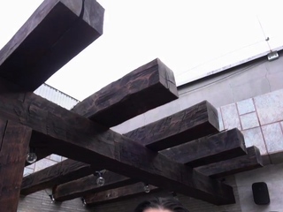 Inked bigass TS slut got IR assbanged