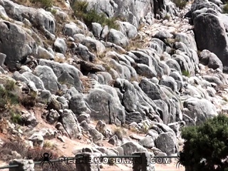 [ScenesXXXX] – Fernandinha Fernandez – XXXX – Anal sex over