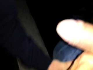 Harley’s Blowjob Adventure with Daddy