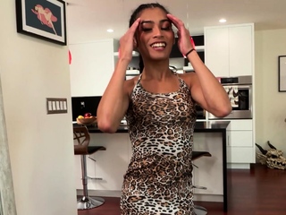 TGIRLS XXX   Starlet Alert