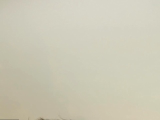 Busty Latina trans blows rides and rails