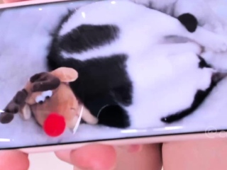 Love Chat Big Boobs Brunette Masturbating For Cam