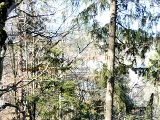 German Blonde Teen’s Forest Blowjob