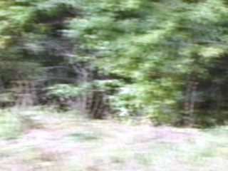 Amateur Teen Blowjob Under the Cover