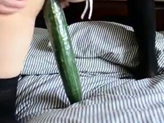 Stockings Solo with a Cucumber