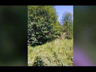 Amateur BBW 2025_07_17_15_19_45