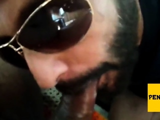 Rio de Janeiro Bull Sucking the Machos Off