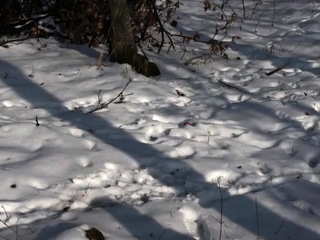 Big ass pale brunette milf with