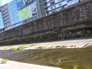 Fat German slut approached and fucked on the street