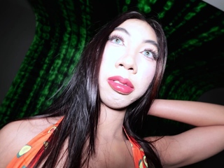 Young Asian ladyboy first time anal sex