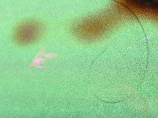 Monster Porn – The Boner Who Bones Trailer